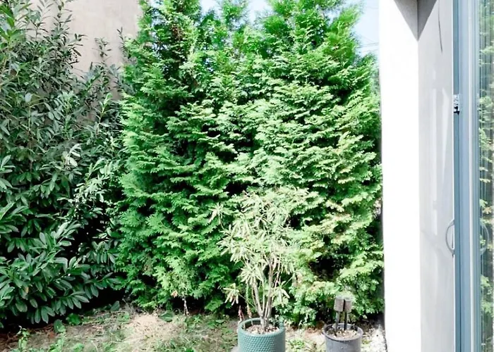 Terrace Nest - Relaxing Family Apart,Free Parking